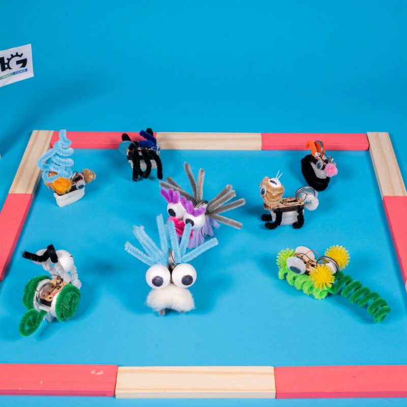 牙刷机器人-10人份-含活动/课程方案